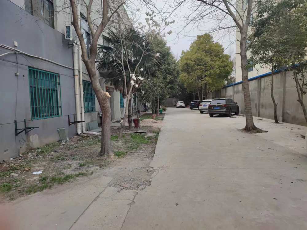 嘉定单层独门独院
