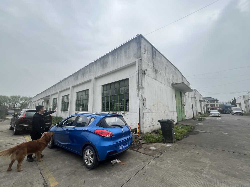 独栋