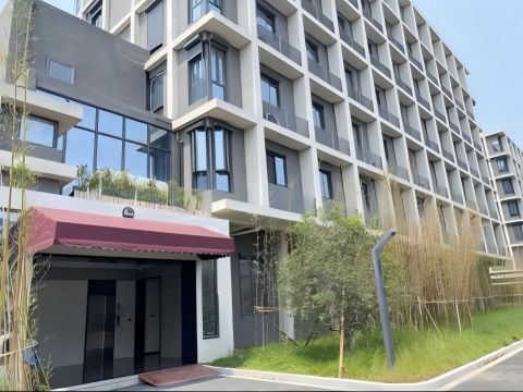 净高9米