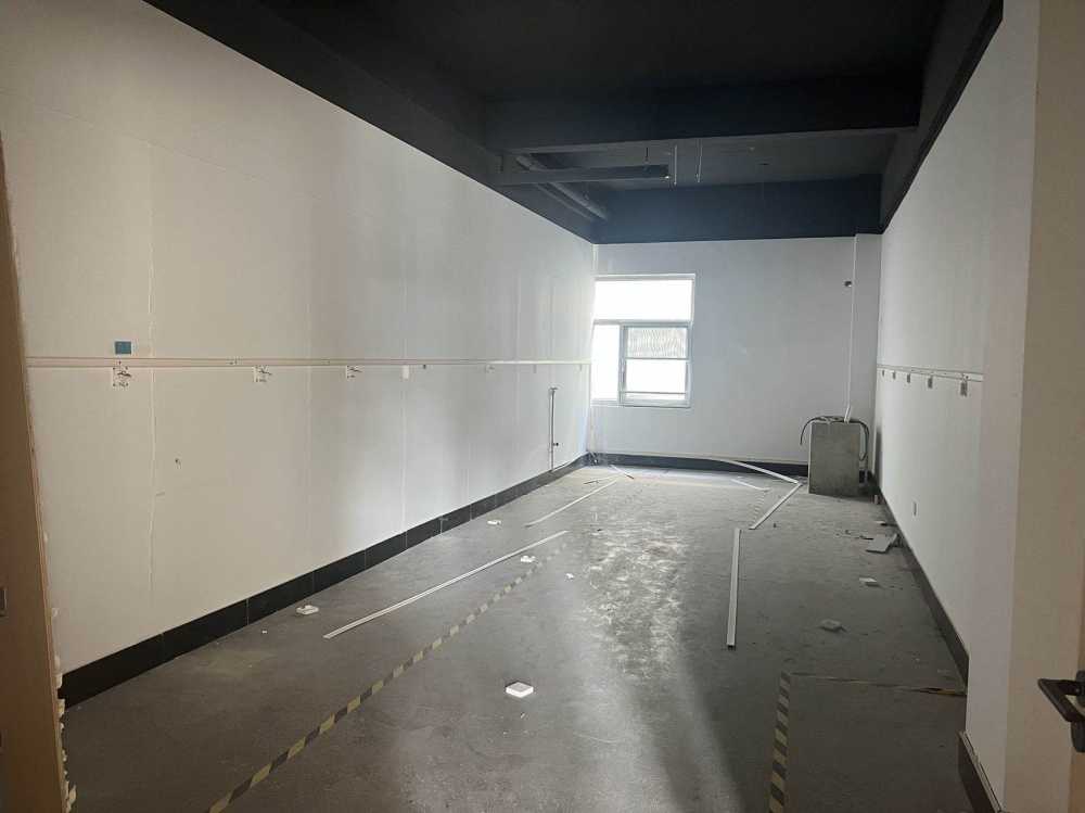 武汉市经济技术开发区56 MD地块独栋研发楼出租,可整租,可分租,季度付