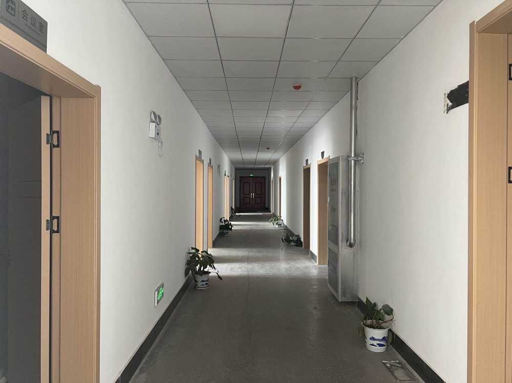 武汉市经济技术开发区56 MD地块独栋研发楼出租,可整租,可分租,季度付