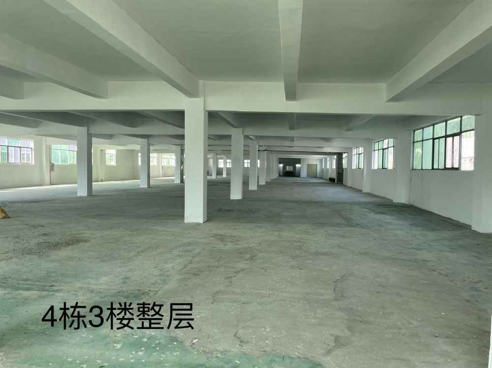 食堂配套齐全