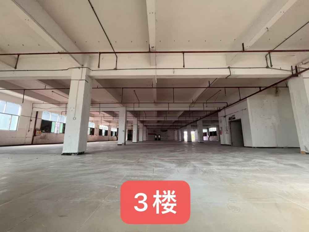水电齐全,超大空地