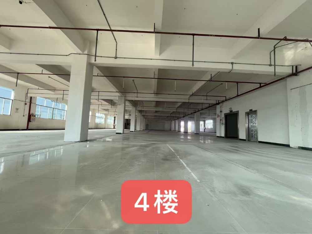 水电齐全,超大空地