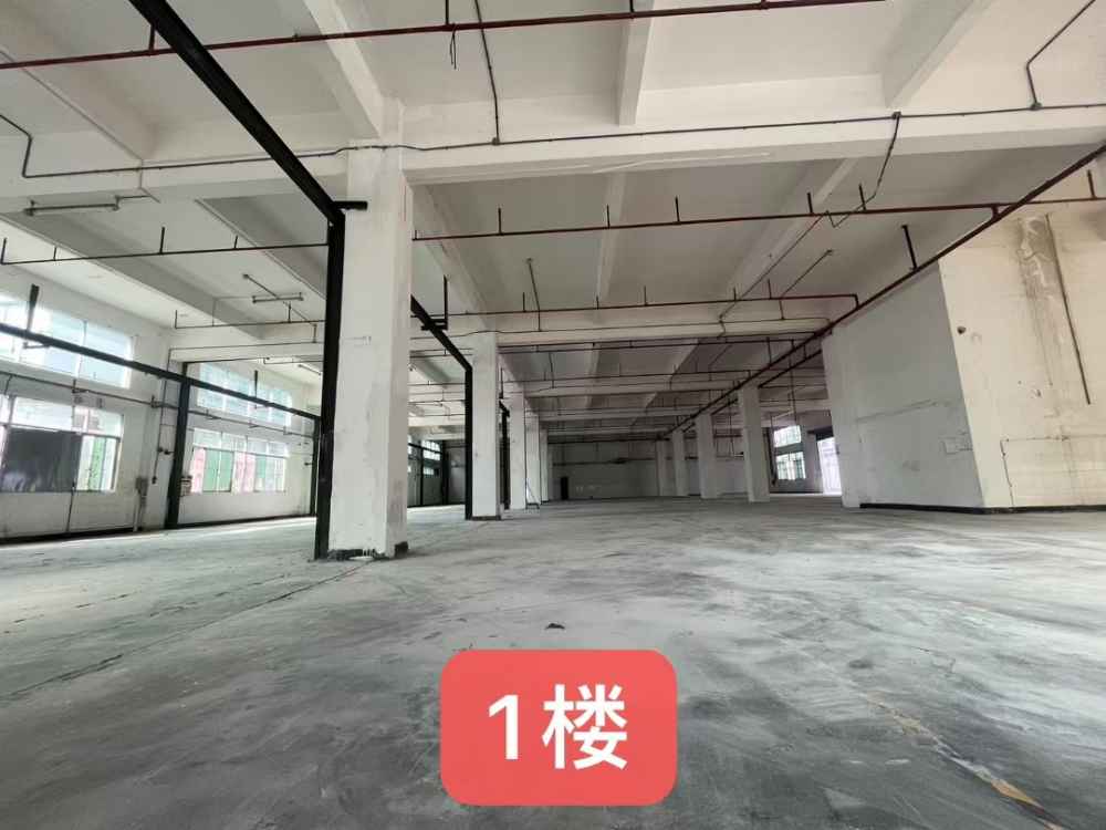 水电齐全,超大空地