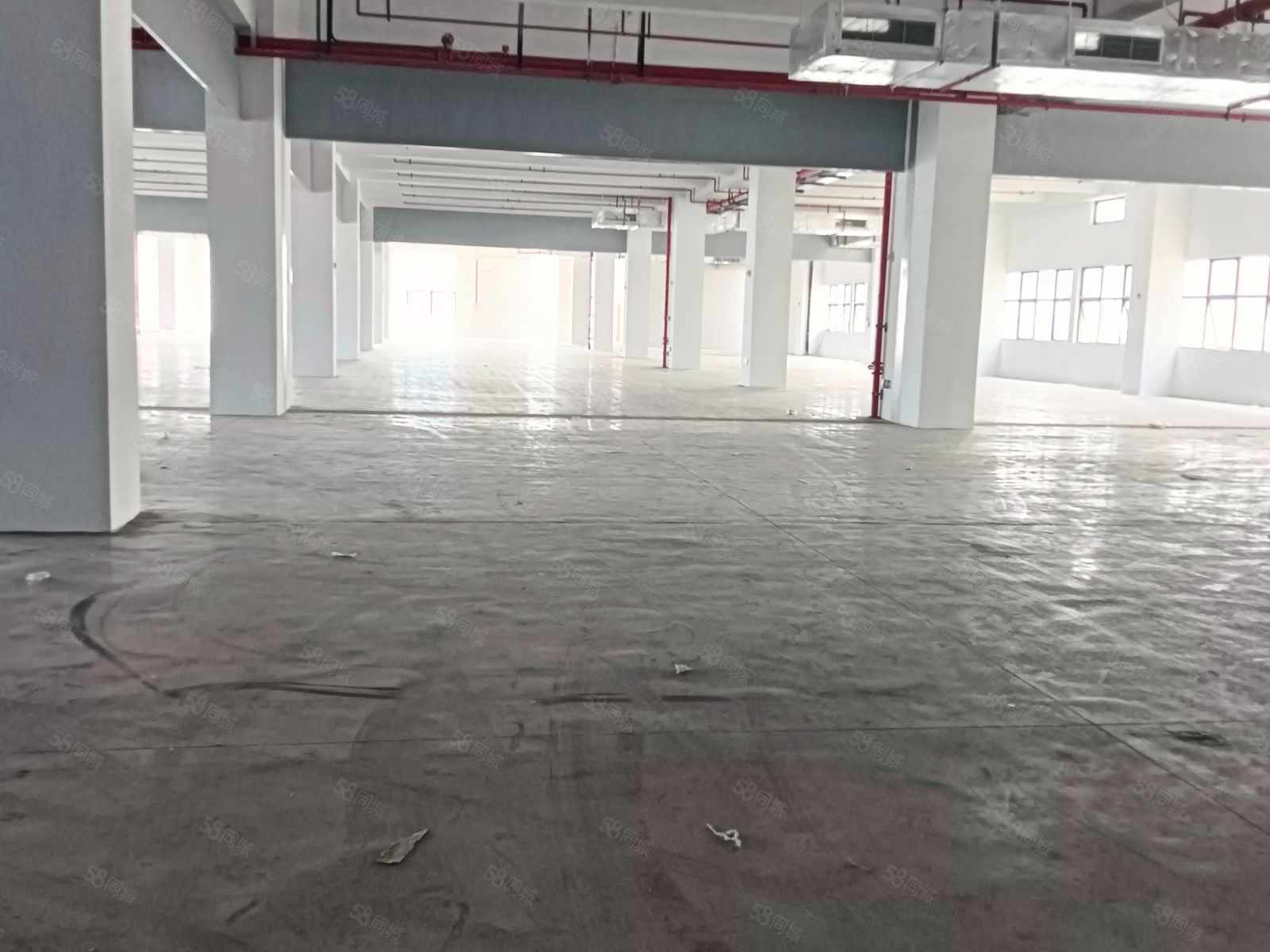 标准厂房，丙二类喷淋消防，全新，5吨货梯