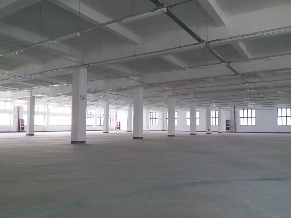 精装办公，独栋