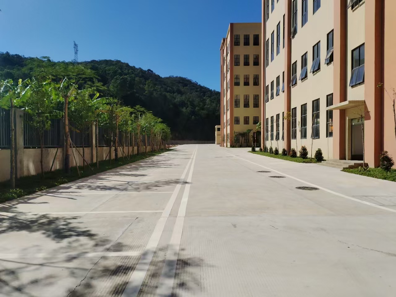 独门独院